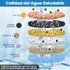 Regaderas para Baño con Filtro y Brazo de Extensión, 10"