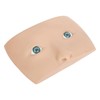 Makeup Practice Face Board 3D Realistic Eye Painting Practice Plastic