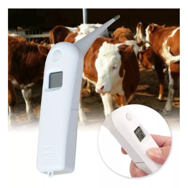 CheckATek Termómetro Digital Veterinario Perro Gato Checkatek Tdv01