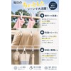 Fogman Large Strong Extra Large Laundry Clamp for Bedding Anti-Slip