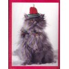 Cat with red hat Christmas Card #14 - 1 card