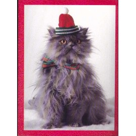 Cat with red hat Christmas Card #14 - 1 card + 1 blank envelope