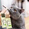 Katzenminze Sticks,12 Stück Matatabi-Kausticks,Matatabi Stick Katze,Catnip Sticks