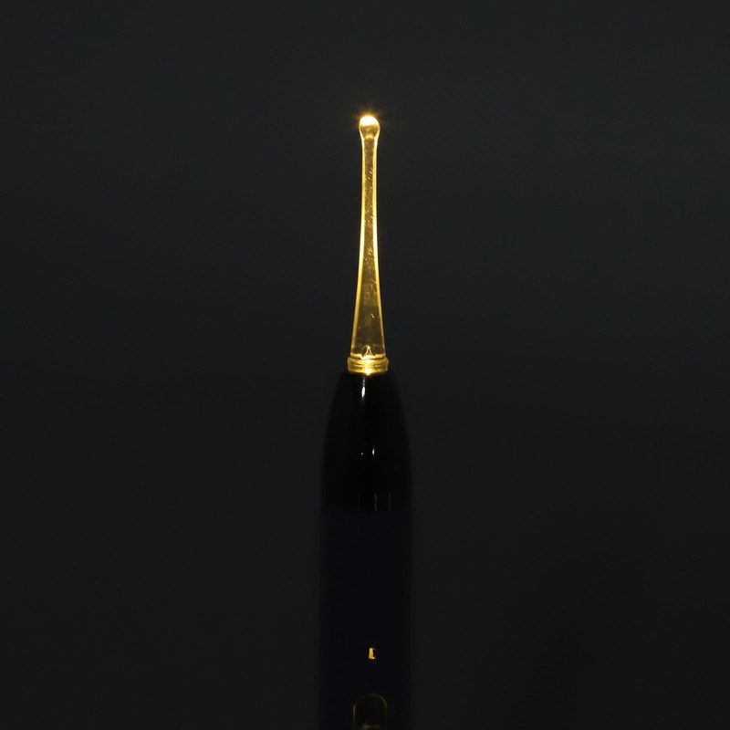 Ear Wax Spoon Tweezer USB Rechargeable Ear Cleaner Earpick with