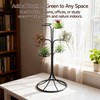 Air Plant Holder Iron Tree Stand Metal Air Plant Display