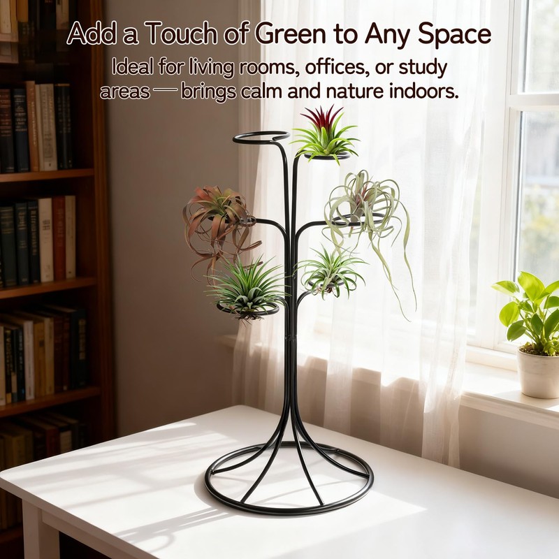 Air Plant Holder Iron Tree Stand Metal Air Plant Display