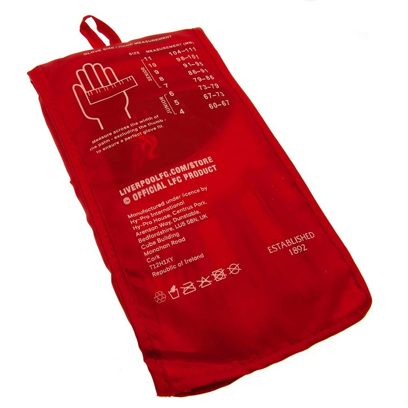 Team Merchandise Goalkeepers Gloves - Youth