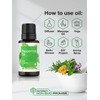 Horbäach Peppermint Essential Oil | .51 fl oz (15mL) |