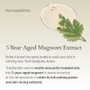 I'm From Mugwort Essence, para piel propensa al acné