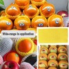 Fruit Protection Mesh Bags, Foam Mesh Keep Safe Sleeves14x7cm, 50PCS