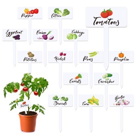 Teeloray 30 Pcs Acrylic Vegetable Labels Signs Waterproof Plant Marker Garden Stake Tags with Vegetable Name 15 Styles T-Type Markers Reusable for Nursery Indoor Outdoor Spring Garden Decoration
