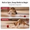 Cheerble 2 in 1 Interactive Cat Toys for Indoor Cats