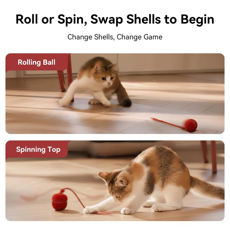 Cheerble 2 in 1 Interactive Cat Toys for Indoor Cats
