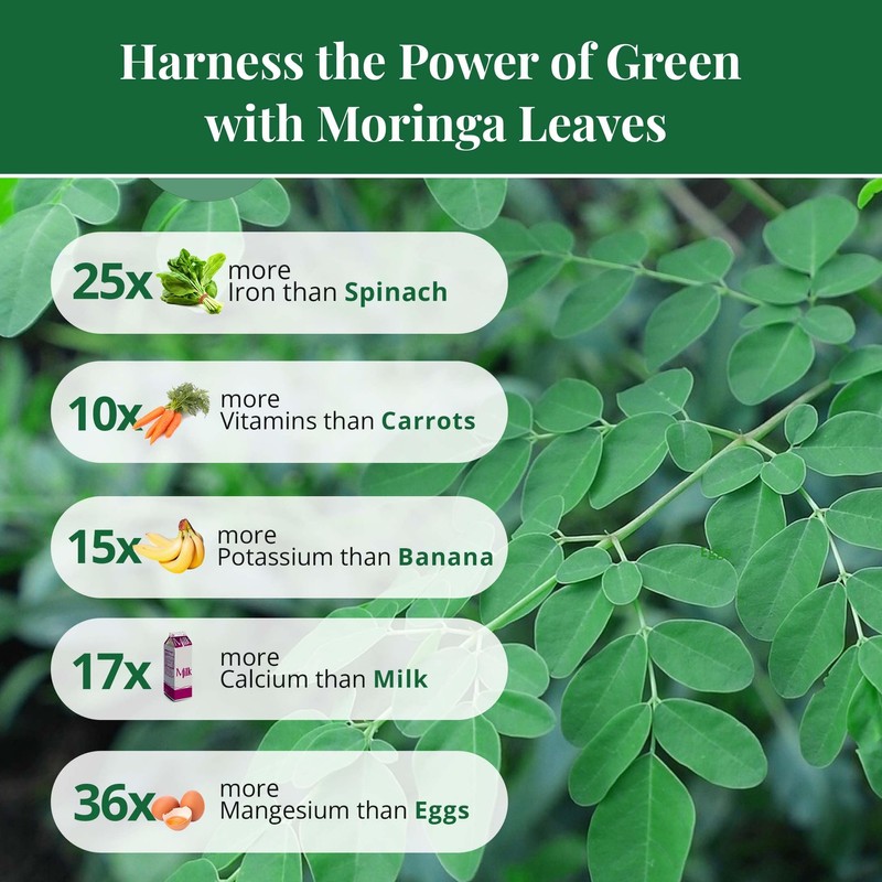 Moringa Leaves-2.6oz, Dried From Fresh Green Moringa Oleifera Leaves, Hojas