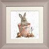 Wrendale Designs 'The Flower Pot' Rabbit Framed Greeting Card in