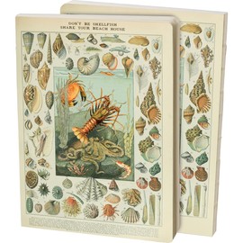 Primitives By Kathy 112309 Don't Be Shellfish Journal, 7.25-inch Height