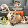 Suilung 8 Pcs Silly Rubber Chicken Screaming Chicken Dog Toy