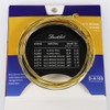 Danchet A103 Acoustic Guitar Strings,Bronze,Medium Light (1 Set)