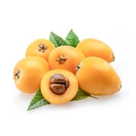 Chandelier Craft & Gardening Loquat Seeds Japanese Chinese Plum Eriobotrya Japonica Organic Fresh from CA, US - 30 Seeds