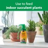Miracle-Gro Succulent Plant Food, Liquid Plant Food for All Indoor
