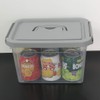 Gloreen 6 Quart Clear Storage Bins with Grey Lid and