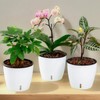 Planterhoma 5 Inch Self Watering Pots for Indoor Plants, 12