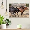 Wildpferde. Frei wie der Wind (Wandkalender 2026 DIN A4 quer),