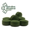 Alga Spirulina Máxima Orgánica Vegan Kosher 500 Tabs