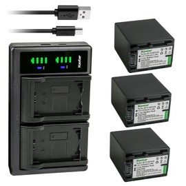 Kastar 3-Pack Battery NP-FV100 and LTD2 USB Charger Compatible with Sony DEV-50V FDR-AX100 FDR-AX100E FDR-AX700 FDR-AX33 FDR-AX43 FDR-AX53 FDR-AXP55 HDR-CX110 HDR-CX115 HDR-CX116 HDR-CX130 Camera