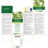 Common Mugwort (Artemisia vulgaris) herb with Flowers Naturalma - 150