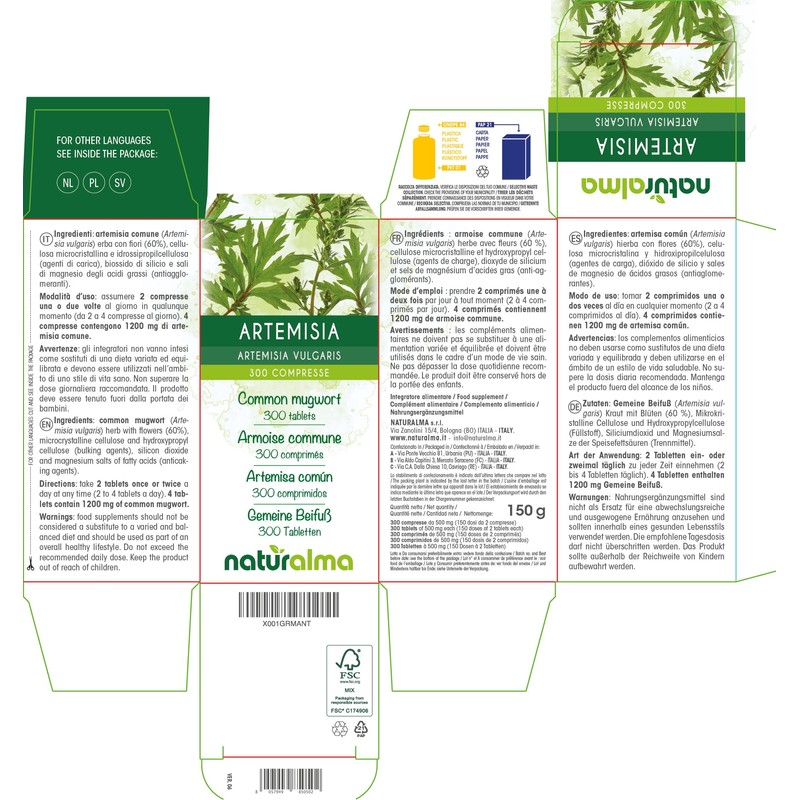 Common Mugwort (Artemisia vulgaris) herb with Flowers Naturalma - 150