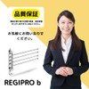 Regipro b Swing Arm Towel Hanger SUS304 Stainless Steel Wall