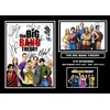 Stunning Quality Big Bang Theory Cast Signed/Autographed Print (A4 Print