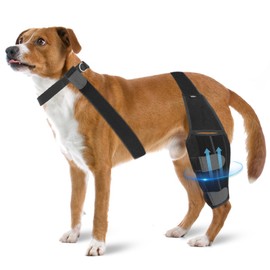 Liangmall Dog Knee Brace for Torn ACL Hind Leg - Adjustable Rear Leg Braces for Dogs with Collar & Side Stabilizers, Strong Support to Reduce Joint Pain and Muscle Sore (Size: M)