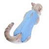 Cat Surgery Recovery Suit ValueHall Cat Surgical Recovery Suit E-Collar