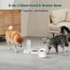 Nobleza 3-in-1 Slow Pet Feeder Bowl Bottle Set, Automatic Pet