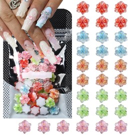 30Pcs 3D Flower Nail Charms,Multi Color Floral Gems Sakura Charms Embellishments for Nail Art,Acrylic Nails Craft Decoration Handmade Nails Supplies Summer Nail Accessories for Women Girls Manicure
