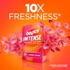 Bounce Intense Dryer Sheets, Vibrant Bloom, 60 Count, Scent Boosting