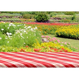 Loccor 7x5ft Fabric Outdoor Picnic Backdrop Garden Red Picnic Blanket Picnic Birthday Background Tropical Floral Garden Wallpaper Kids Adults Outdoor BBQ Photo Studio Props