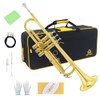 Trumpet Instrument,Band & Orchestra Musical Instruments for Beginners,With trumpets case,Mouthpiece,Cloth