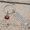 AHAETH Ladybug Gifts Keychain Ladybug Jewelry for Women When She