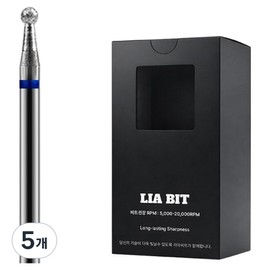BESSIE Leahbit Big Diamond Ball XF Nail Bits, 5 pieces, Silver / BESSIE 리아비트 빅다이아볼 XF 네일비트, 5개, 실버
