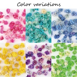 Princess-style Dried Flower Head Blooming Flower Nail Resin Enclosed Material Flower Material Flower Material Flower Material 12 Case Pack of 6 Colors