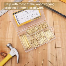 JEGONFRI 6 Sizes Gold Hardware Nails Assortment Kit, 358pcs, Brass Plated, Nails for Hanging Pictures, Finishing Nails, Wood Nails, Wall Nails for Hanging (3, 2, 1-1/2, 1-1/4", 1, 3/4")