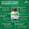 Zazzee USDA Organic Blueberry 10:1 Extract, 5000 mg Strength, 120