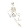 Mini Human Skeleton Model for Anatomy, 17.7 Inches (45 cm)