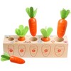 Educational Wooden Montessori Development Toys for Toddlers – Early Learning