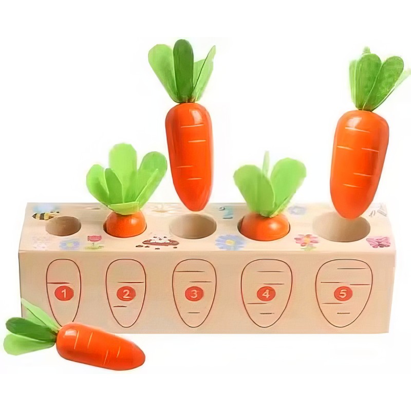 Educational Wooden Montessori Development Toys for Toddlers – Early Learning
