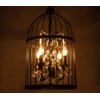 Sky Demons 4 Lights Black Birdcage Crystal Ceiling Chandelier Retro