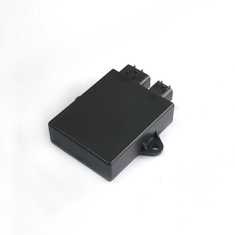 Baceyong CDI Box Ignitor Compatible with Yamaha Big Bear 350